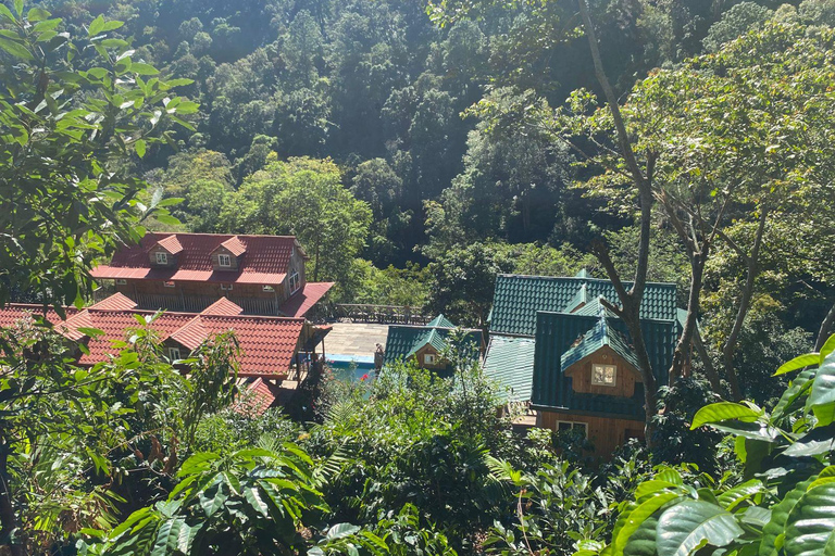 Urlanta Waterfalls: A day's experience Landscapes and Nature