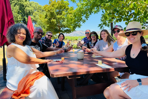 Sonoma Valley: Guided Winery Tour with Picnic Lunch