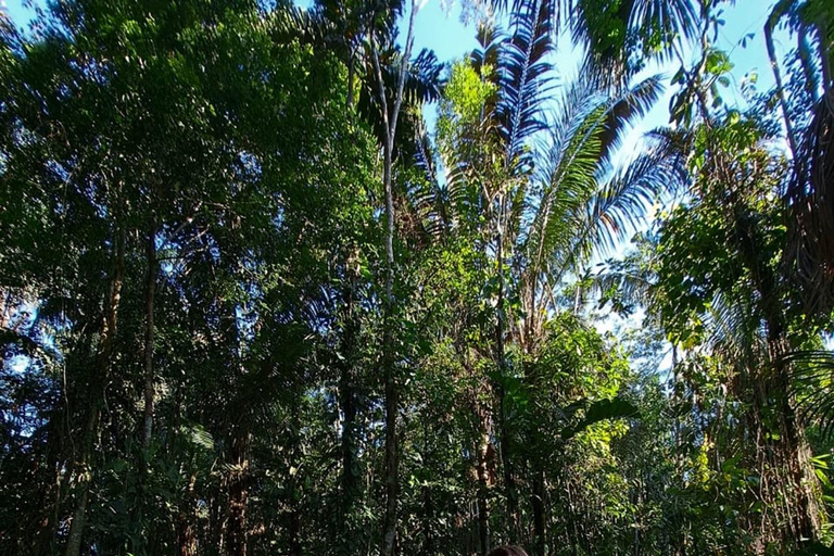 Iquitos: Dia inteiro: conheça a Isla Bonita