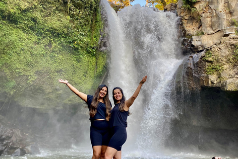 Viagem guiada ao terraço de arroz, cachoeira e templo de Ubud, Bali