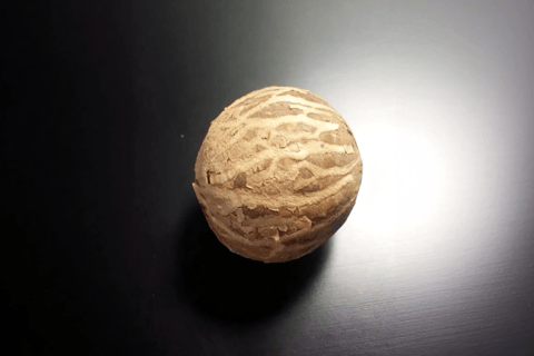 Guangzhou: Make Your Own Bodhi Ring (Handmade Craft)