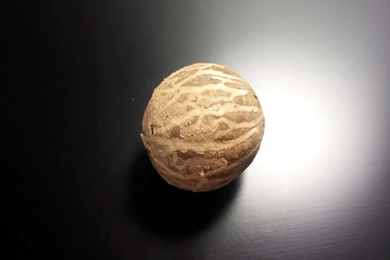 Guangzhou: Make Your Own Bodhi Ring (Handmade Craft)