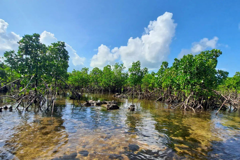 Pungume Island, Pungume Beach, sandbank BBQ och snorklingPungume-ön, Pungume-stranden, sandbank BBQ och snorkling