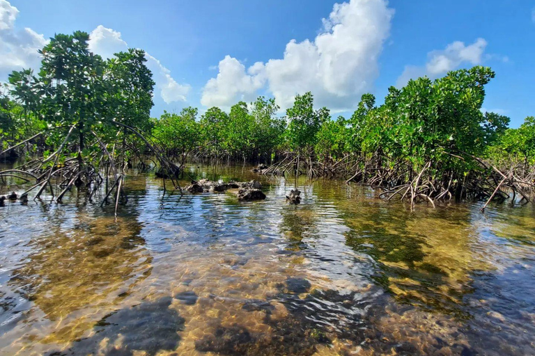 Pungume Island, Pungume Beach, sandbank BBQ och snorklingPungume-ön, Pungume-stranden, sandbank BBQ och snorkling