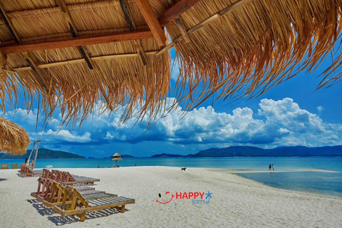 Koh Samui: Pig Island Tour by Speedboat with Snorkeling Private Tour or Cruise Ship Option