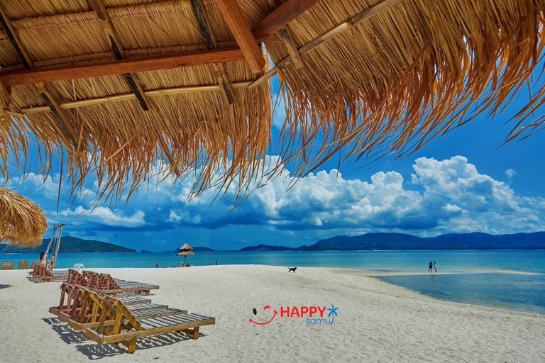 Koh Samui: Pig Island Tour by Speedboat with Snorkeling Private Tour or Cruise Ship Option