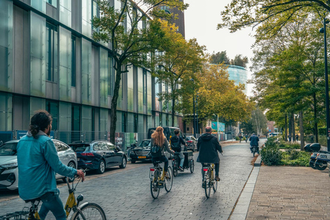 Rotterdam: Classic Highlight Bicycle Tour by Local