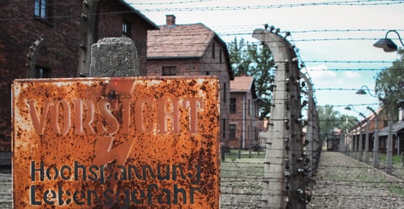 Krakow: Auschwitz-Birkenau Entry, Host, and Transfer