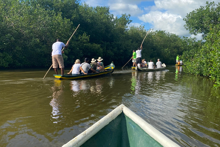 Heerlijk ontspannen aan zee en ecotoer in natuurlijke mangrovebossen