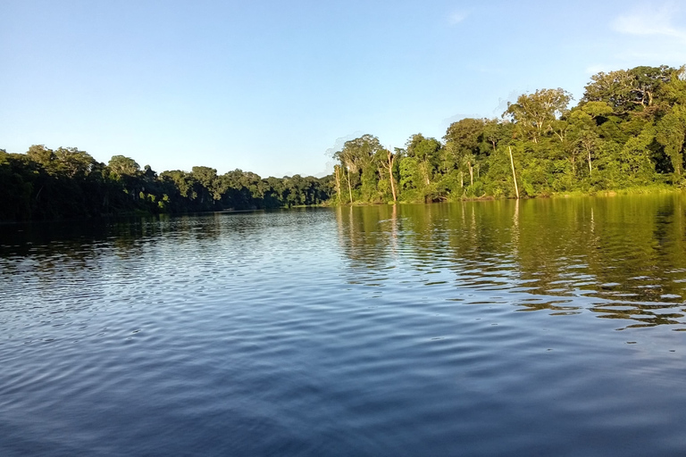 Cusco: 2 Day Manu Amazon Rainforest Wildlife Tour