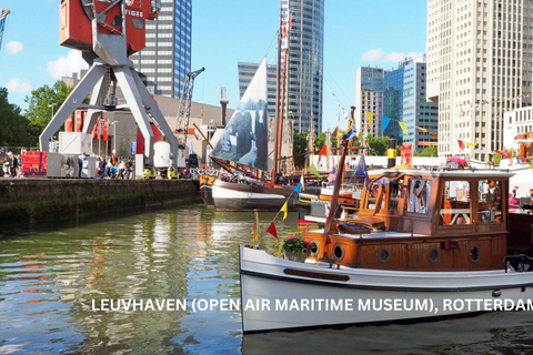 Tour giornaliero a piedi e in barca di Rotterdam e Kinderdijk