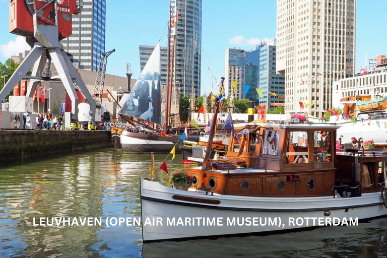 Tour giornaliero a piedi e in barca di Rotterdam e Kinderdijk