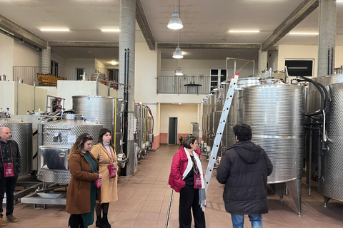 Dégustation de vins sur le versant sud de l'Etna