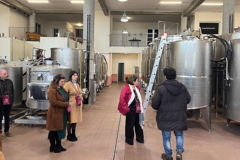 Dégustation de vins sur le versant sud de l'Etna