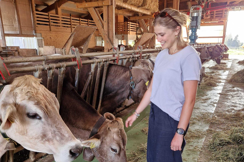 Lucerna: Wycieczka po farmie i degustacja serów