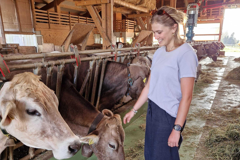 Lucerne : Visite de la ferme et dégustation de fromage