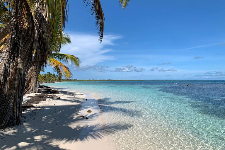 Punta Cana: Saona Island Premium 3 beaches