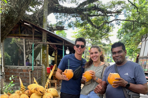 Kandy: Customizable Temples, Artisan Crafts & cultural Show Van