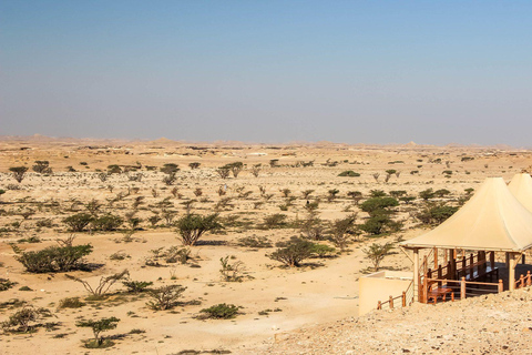 Salalah: Private City Tour — Half or Full Day Half day - Coach (21-45 guests)
