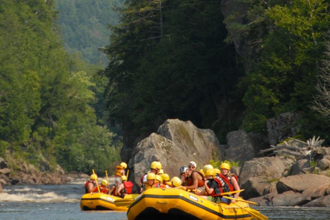 Jinja: Nile River Whitewater Rafting with Lunch