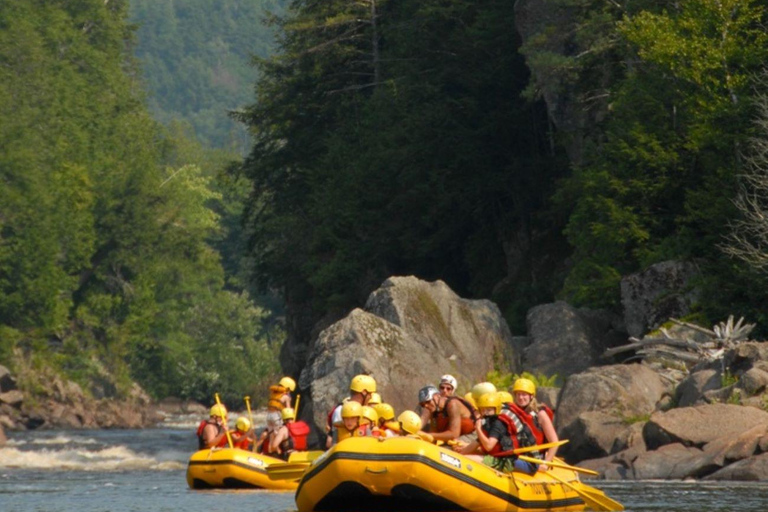 Jinja: Nile River Whitewater Rafting with Lunch