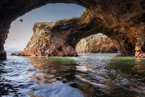 Visite des îles Ica, Huacachina et Ballestas - 1 journée