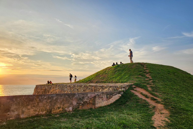 Epic South Coast Highlights From Colombo