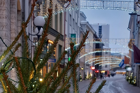 Podróż dookoła Tallinna w 3 godziny