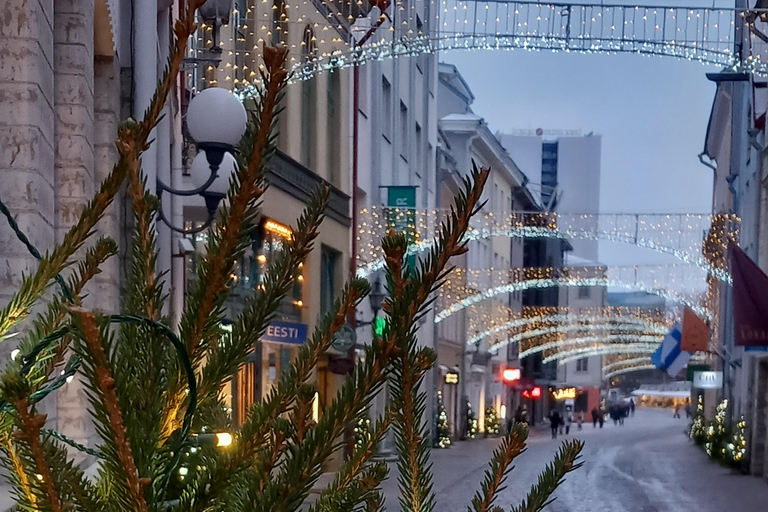 Autour de Tallinn en 3 heures