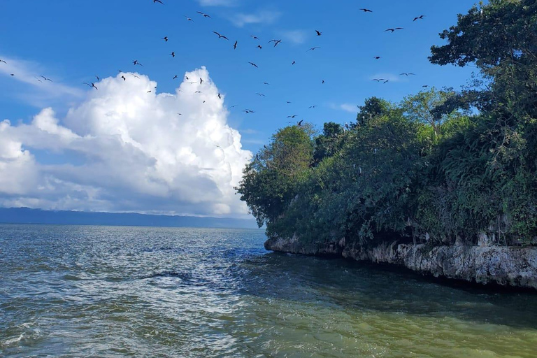 Puerto Plata: Samana, Bacardi Island, and Los Haitises Tour