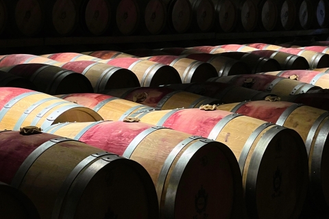 Desde Burdeos: cata de vinos por la tarde en la región de Medoc
