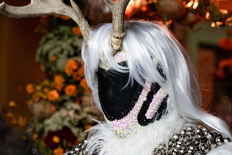 Oaxaca: Day of the Dead Tour Pantheon Tour October 31st 2025