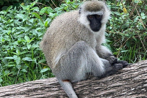 Nairobi:Lake Naivasha, Hell’s Gate & Crescent Island Tour