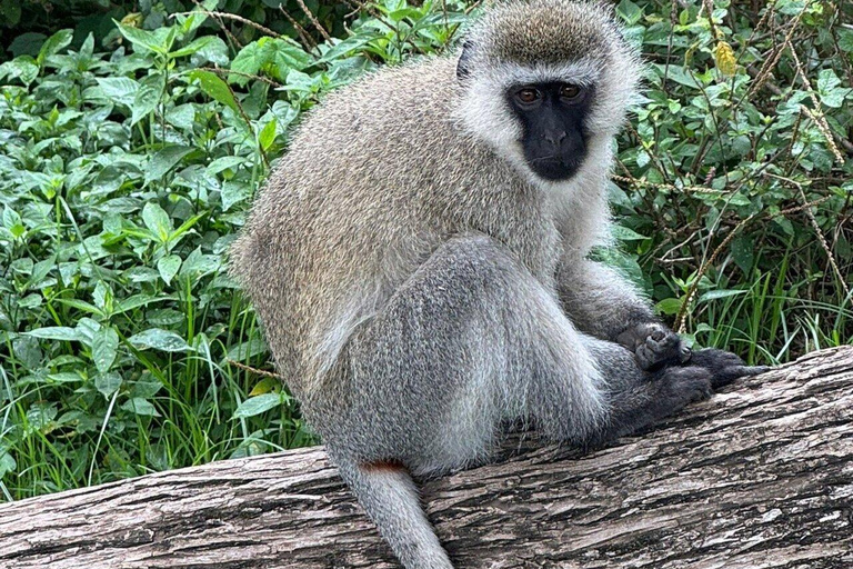 Nairobi:Lake Naivasha, Hell’s Gate & Crescent Island Tour