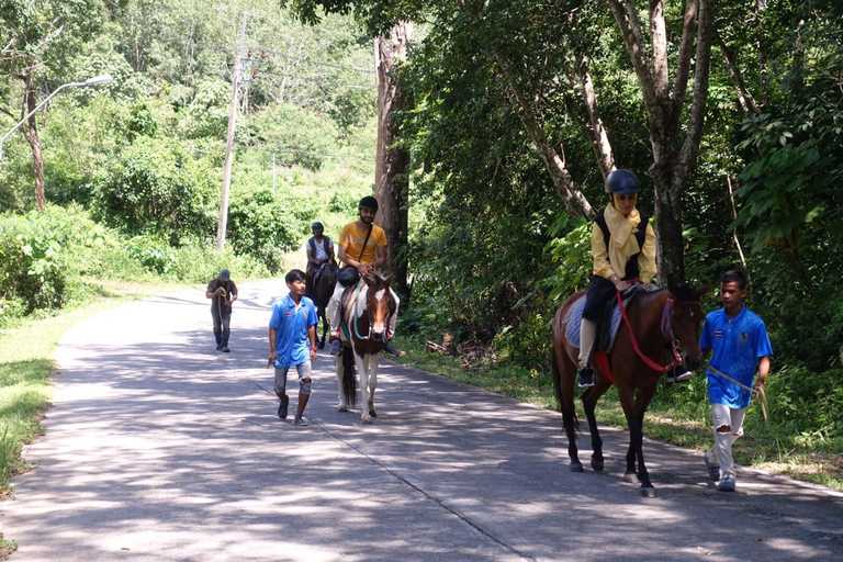 Phuket Jungle Horseback Ride with Scenic Forest Views Adventure Trail (2 Hrs)