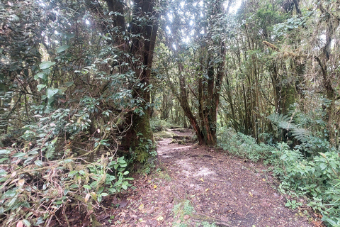 Recorrido y caminata al Volcán Barva Heredia