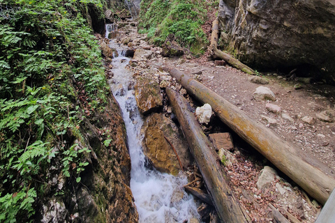 7 Ladders Canyon Hike & Optional Zip-line | From Brașov