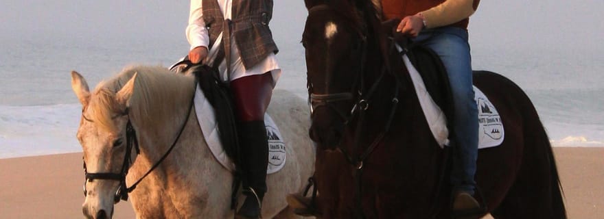Sines : balade équestre sur la plage avec des chevaux portugais