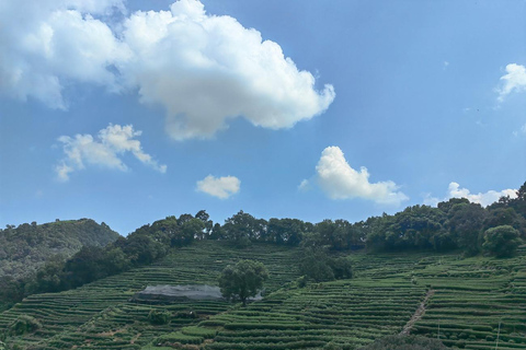 Hangzhou Jiuxi, Shililangdang & Yunqi Day Hiking Tour