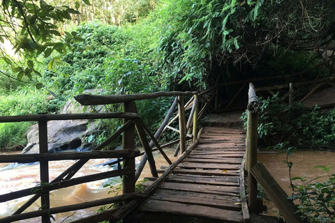 Kiambu: Half day of fun at Paradise Lost