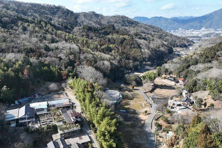Hiroshima: Bonsai - A Gentle Journey into Nature’s Art
