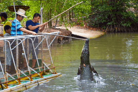 From Ho Chi Minh: Can Gio Mangrove Forest (Eco Tour)