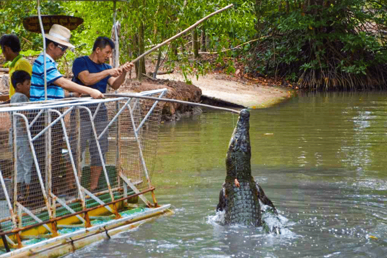 Au départ de Ho Chi Minh Ville : Visite en groupe de la forêt de mangroves de Can Gio