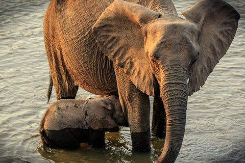 Zanzibar: 3-Day Mikumi National Park Safari with Free Pickup