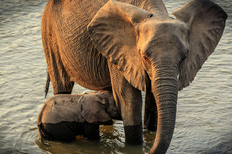 Zanzibar: 3-Day Mikumi National Park Safari with Free Pickup