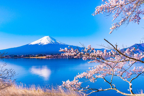 Mt Fuji Private Luxury Full-Day Tour with customization