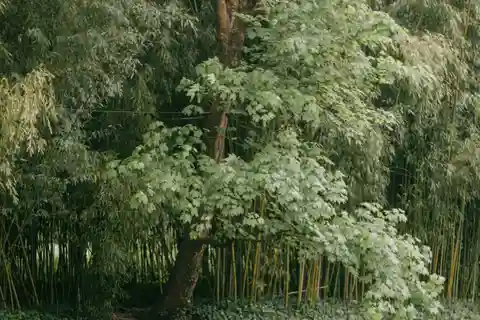 Honfleur: Giverny Gärten & Honfleur Geführter Landausflug