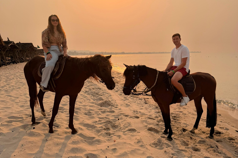 Hammamet: 2-Hour Horseback Ride at Sunrise or Sunset Hammamet: Two-Hour Sunrise Horseback Riding Tour