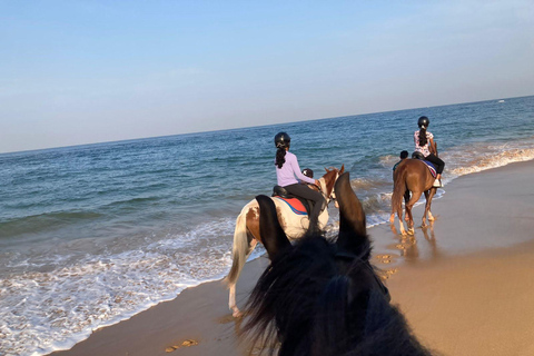 Horse Riding in Port City