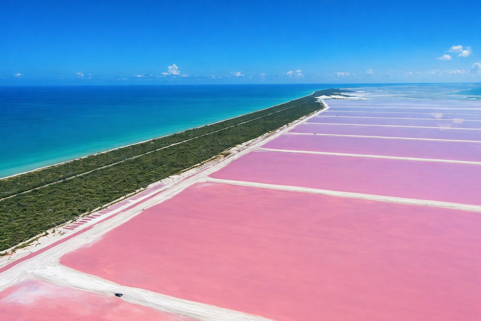 Rio Lagartos + Las Coloradas: Krokodile, Flamingos und rosa Wasser.